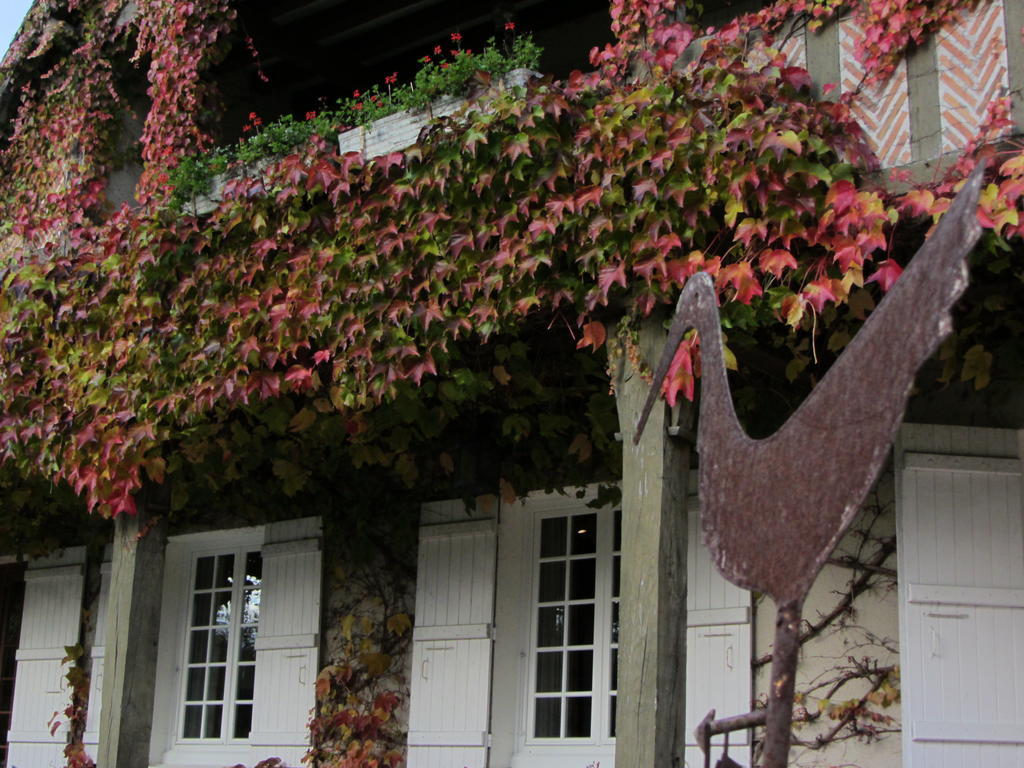 Les Vieux Guays Bed & Breakfast Cerdon  Exterior photo