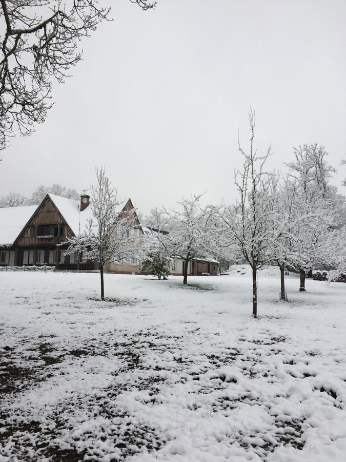 Les Vieux Guays Bed & Breakfast Cerdon  Exterior photo